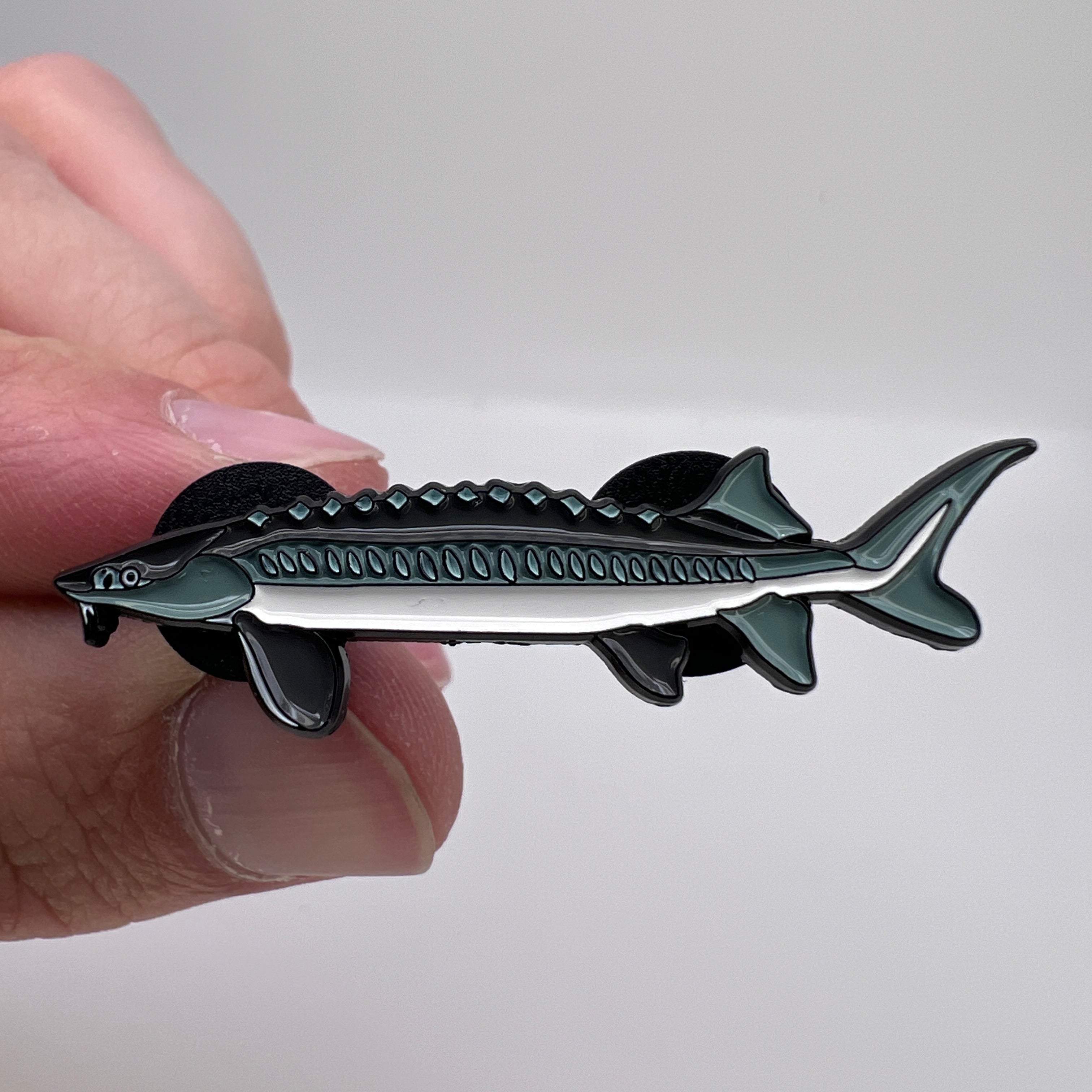 Sturgeon - Fish Pin with Gift Box