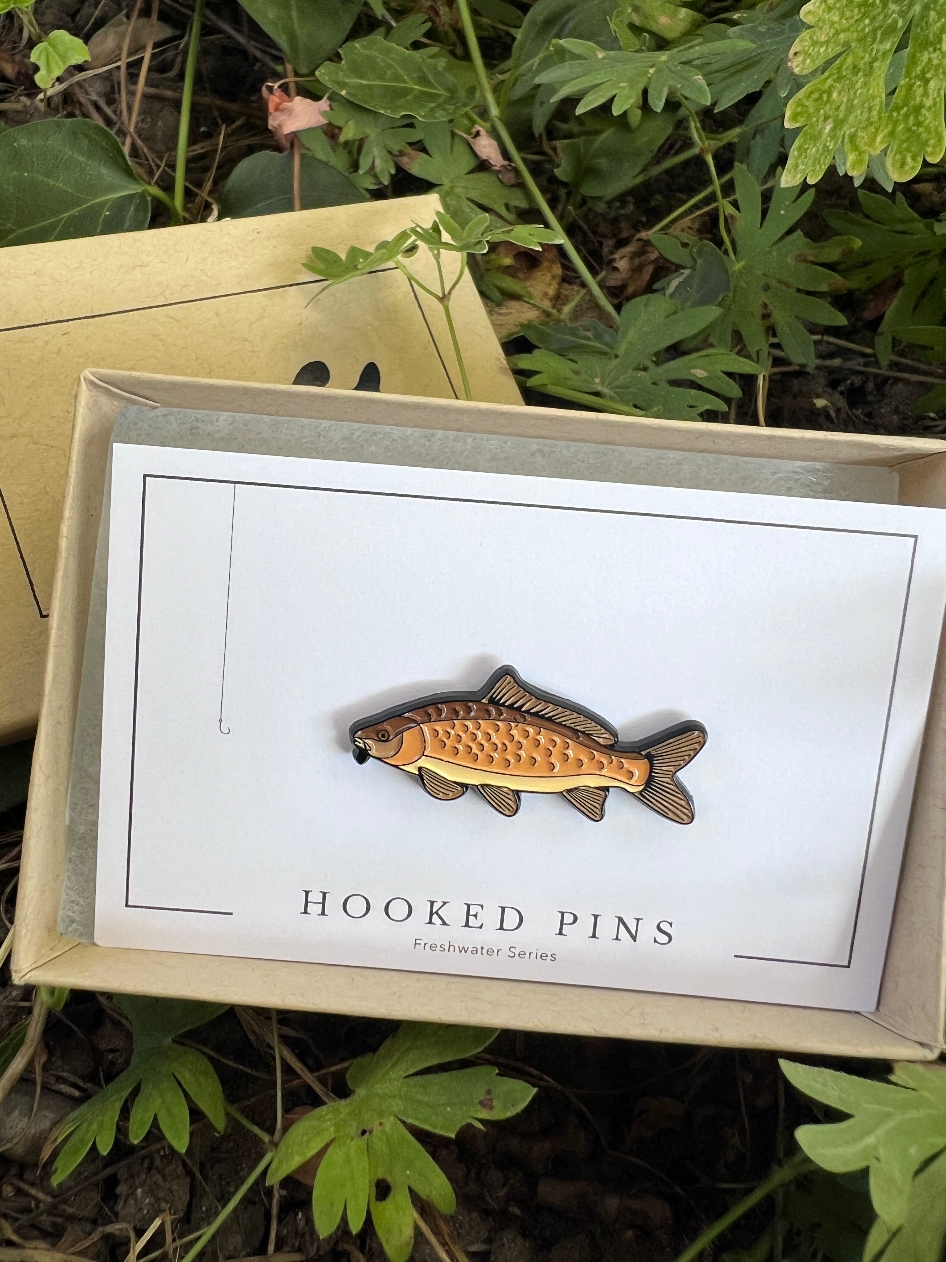 Common Carp - Fish Pin with Gift Box