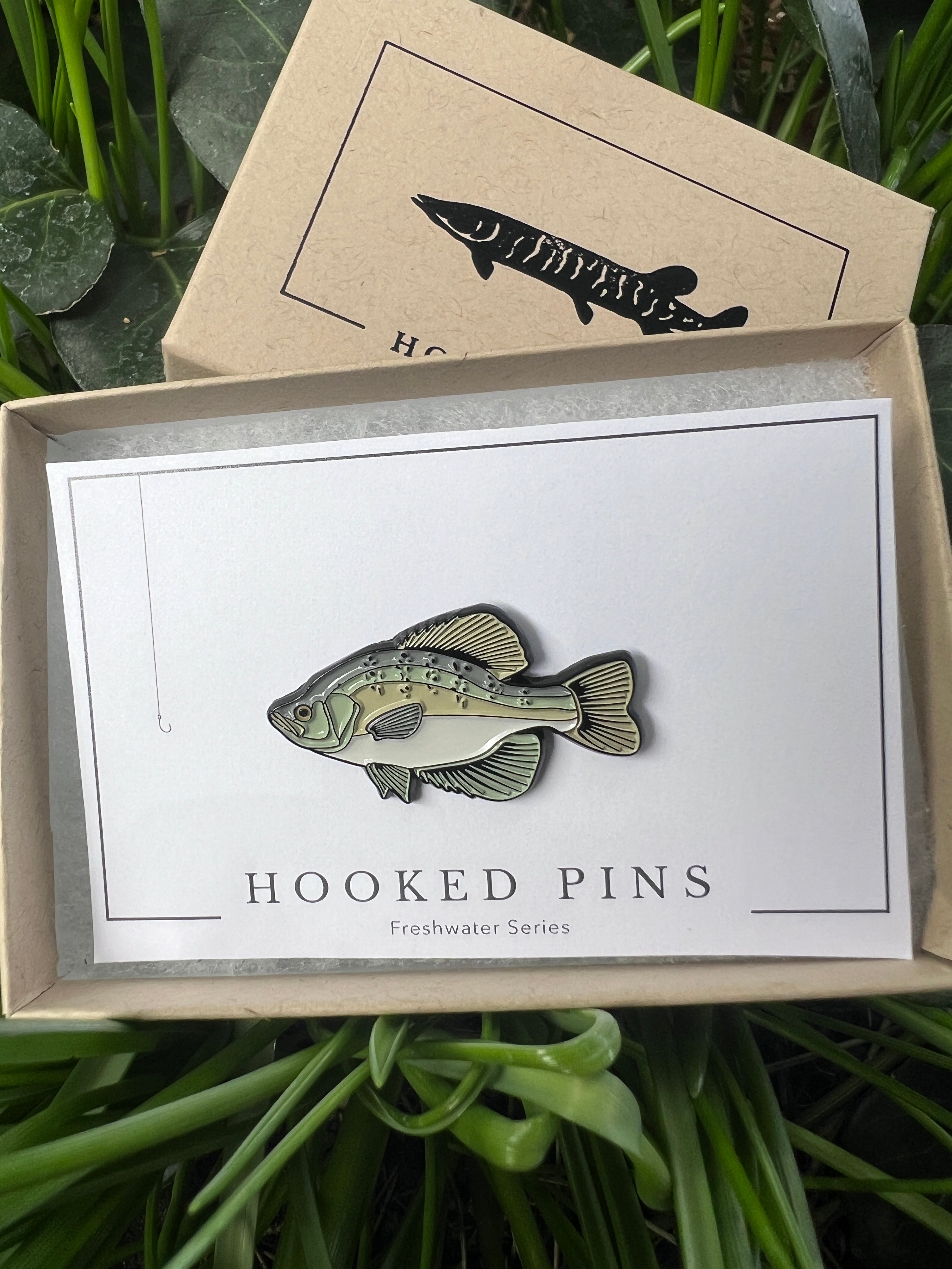 White Crappie - Fish Pin with Gift Box