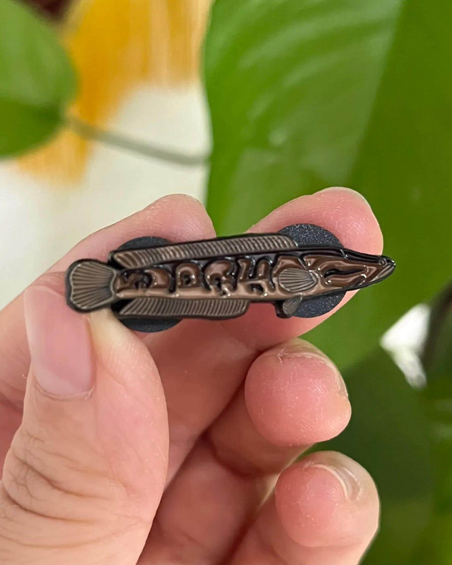 Snakehead - Fish Pin with Gift Box