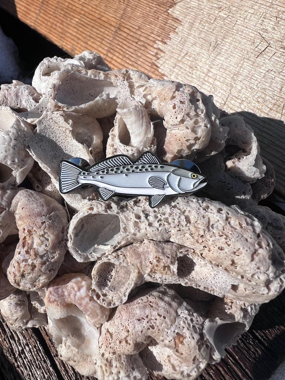 Spotted Seatrout - Fish Pin with Gift Box