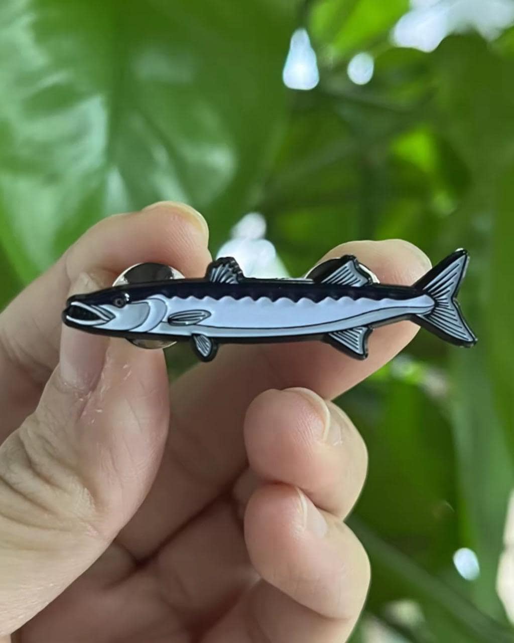 Barracuda - Fish Pin with Gift Box