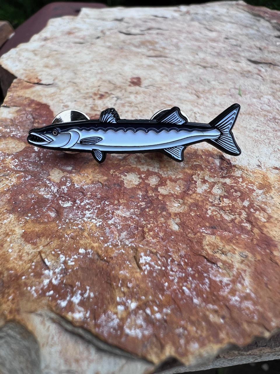 Barracuda - Fish Pin with Gift Box