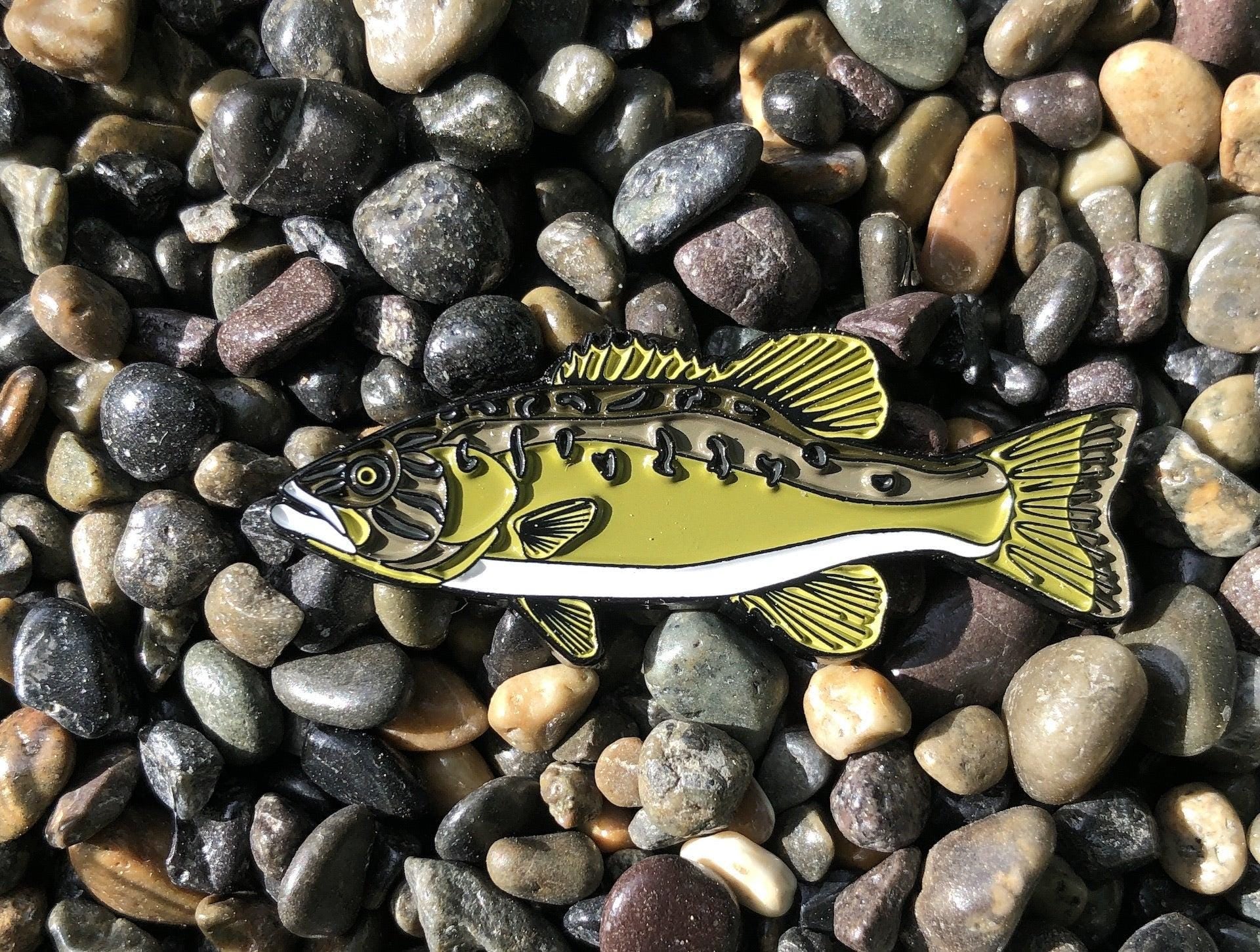 Smallmouth Bass - Fish Pin with Gift Box