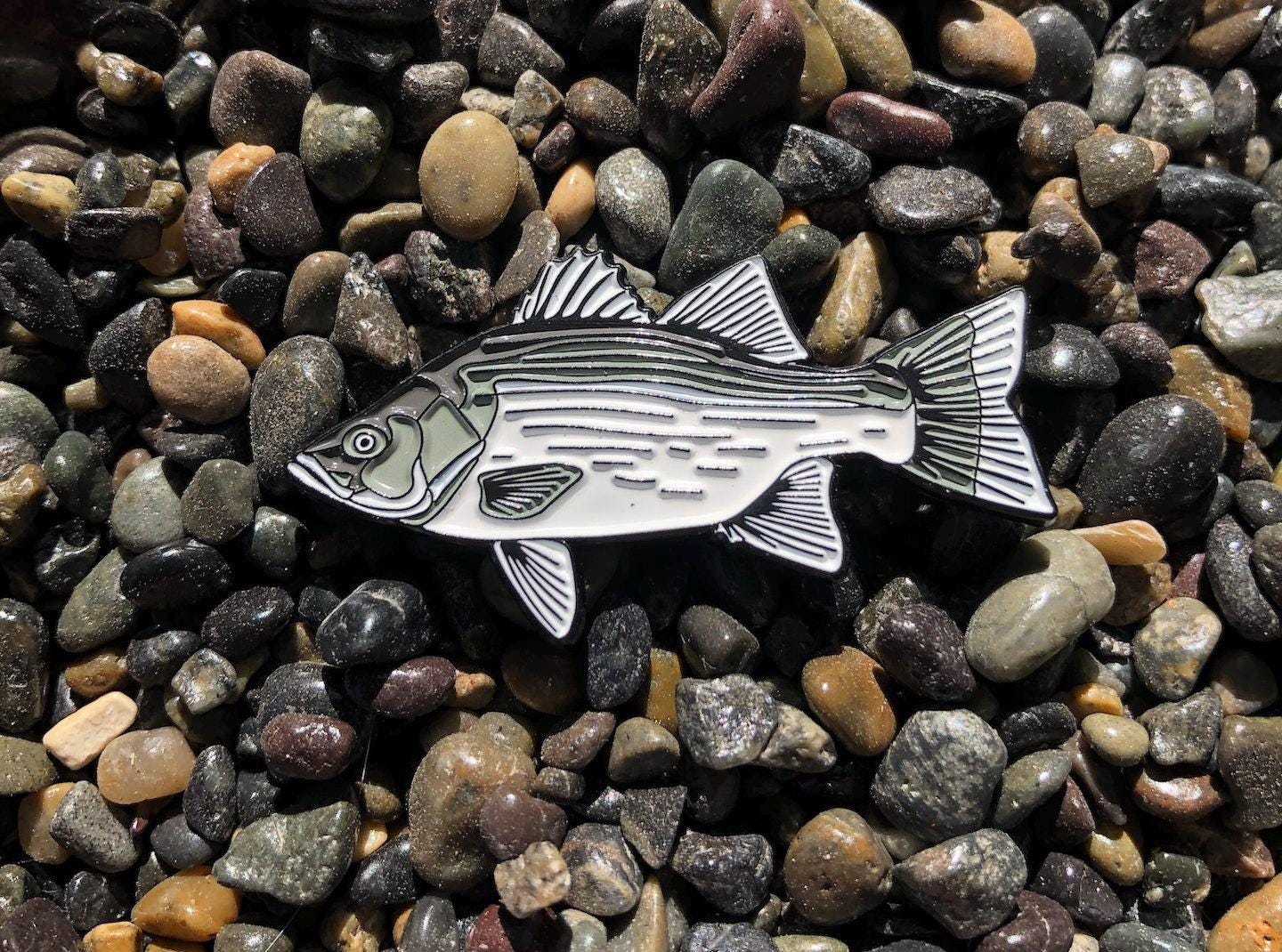 White Bass - Fish Pin with Gift Box