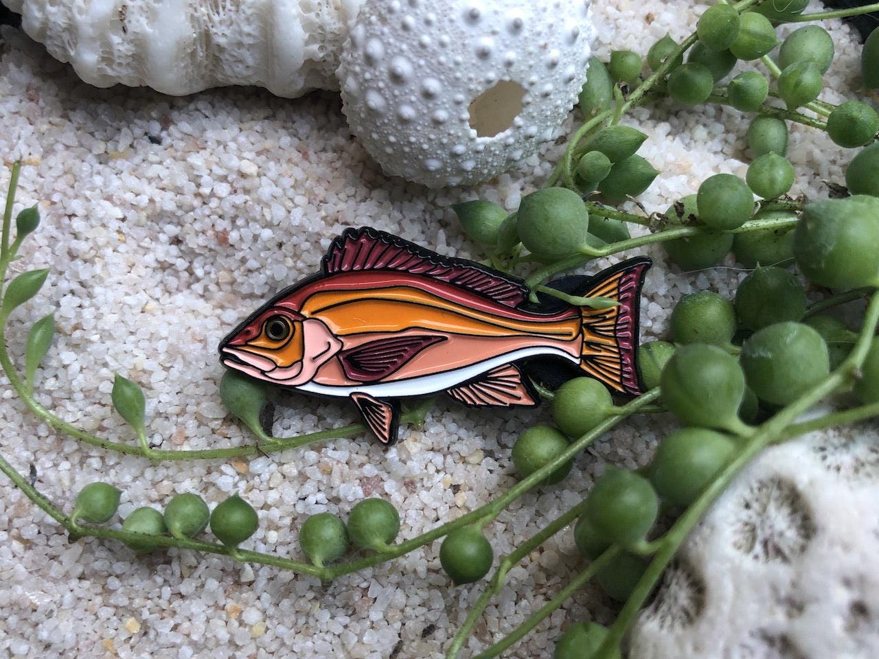 Red Snapper - Fish Pin with Gift Box