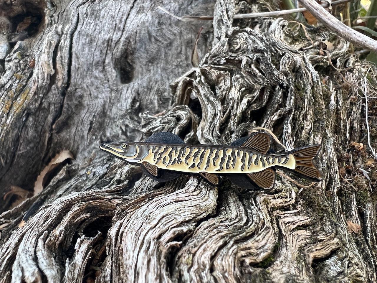 Tiger Muskie  - Fish Pin with Gift Box