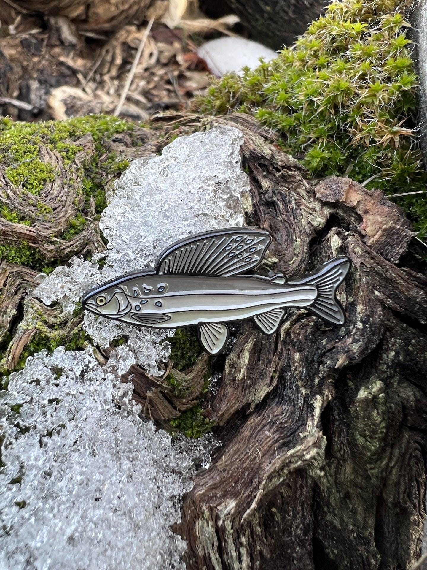Arctic Grayling - Fish Pin with Gift Box
