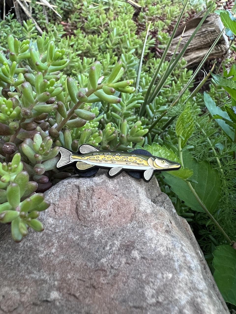 Northern Pike - Fish Pin with Gift Box