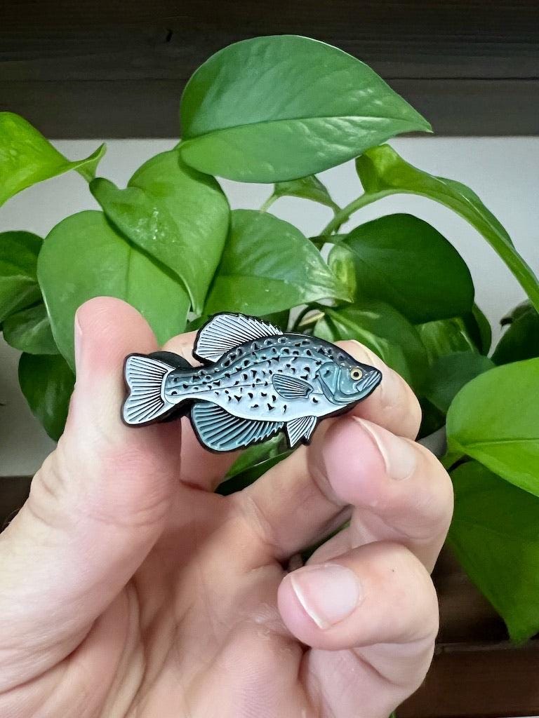 Black Crappie - Fish Pin with Gift Box