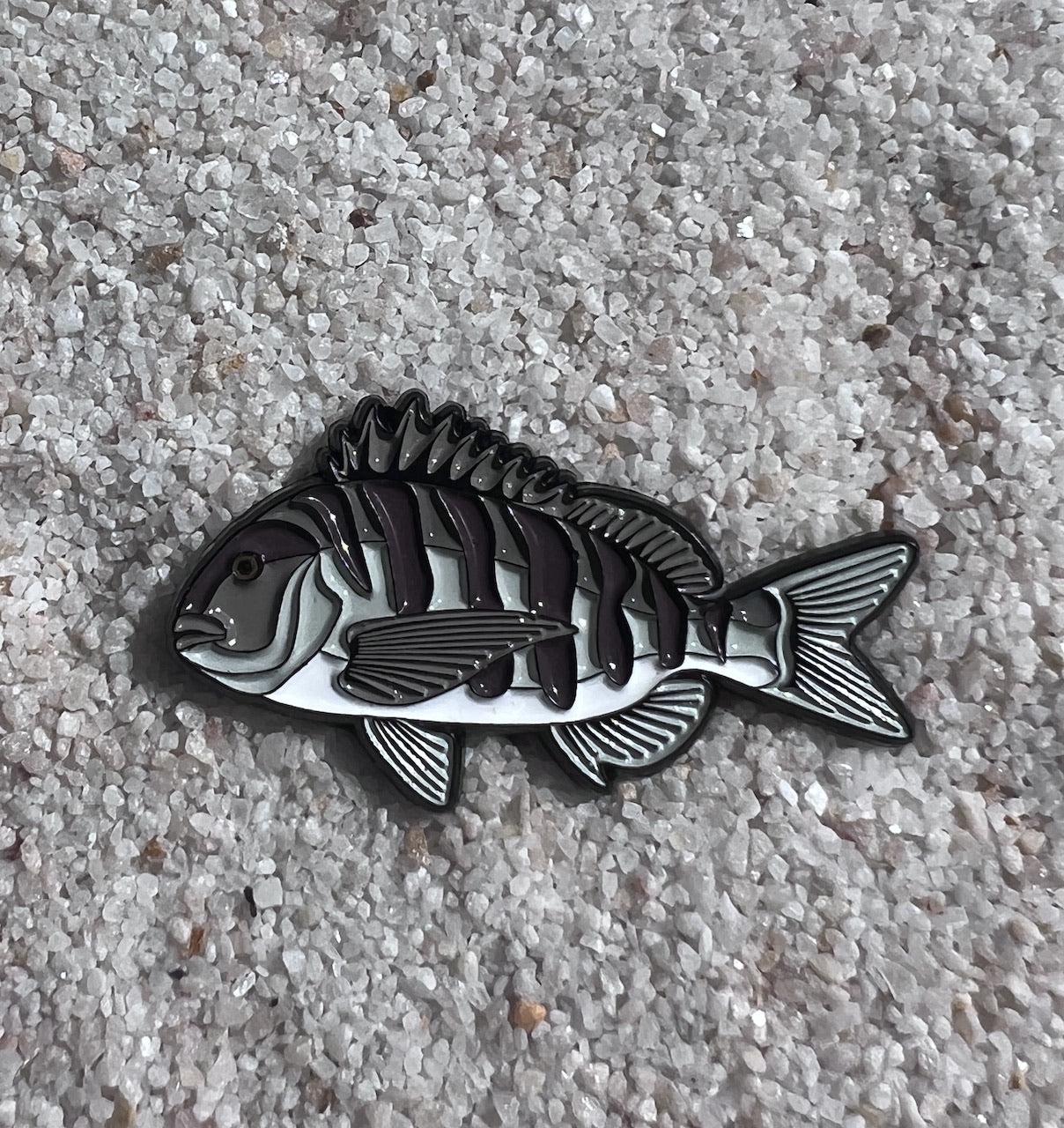 Sheepshead - Fish Pin with Gift Box