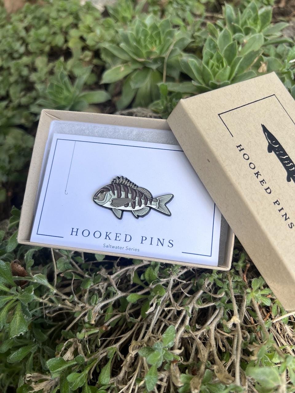 Sheepshead - Fish Pin with Gift Box