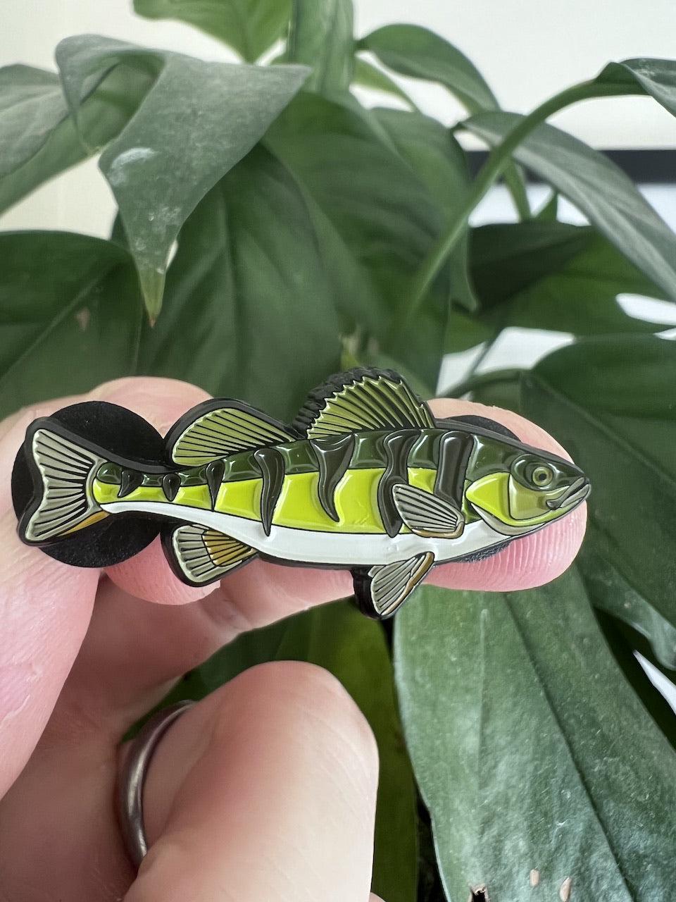 Yellow Perch - Fish Pin with Gift Box