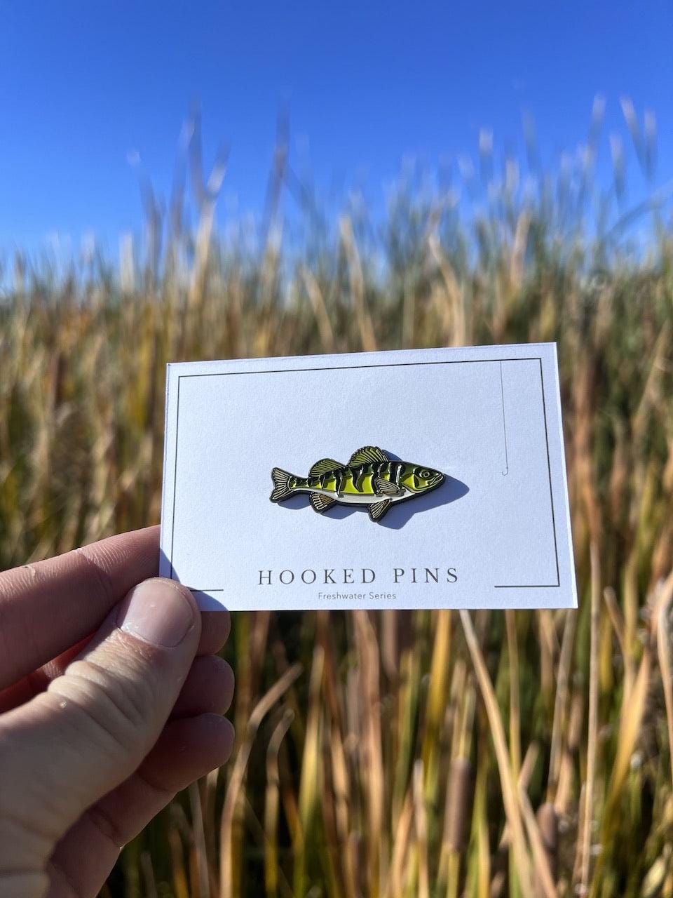 Yellow Perch - Fish Pin with Gift Box