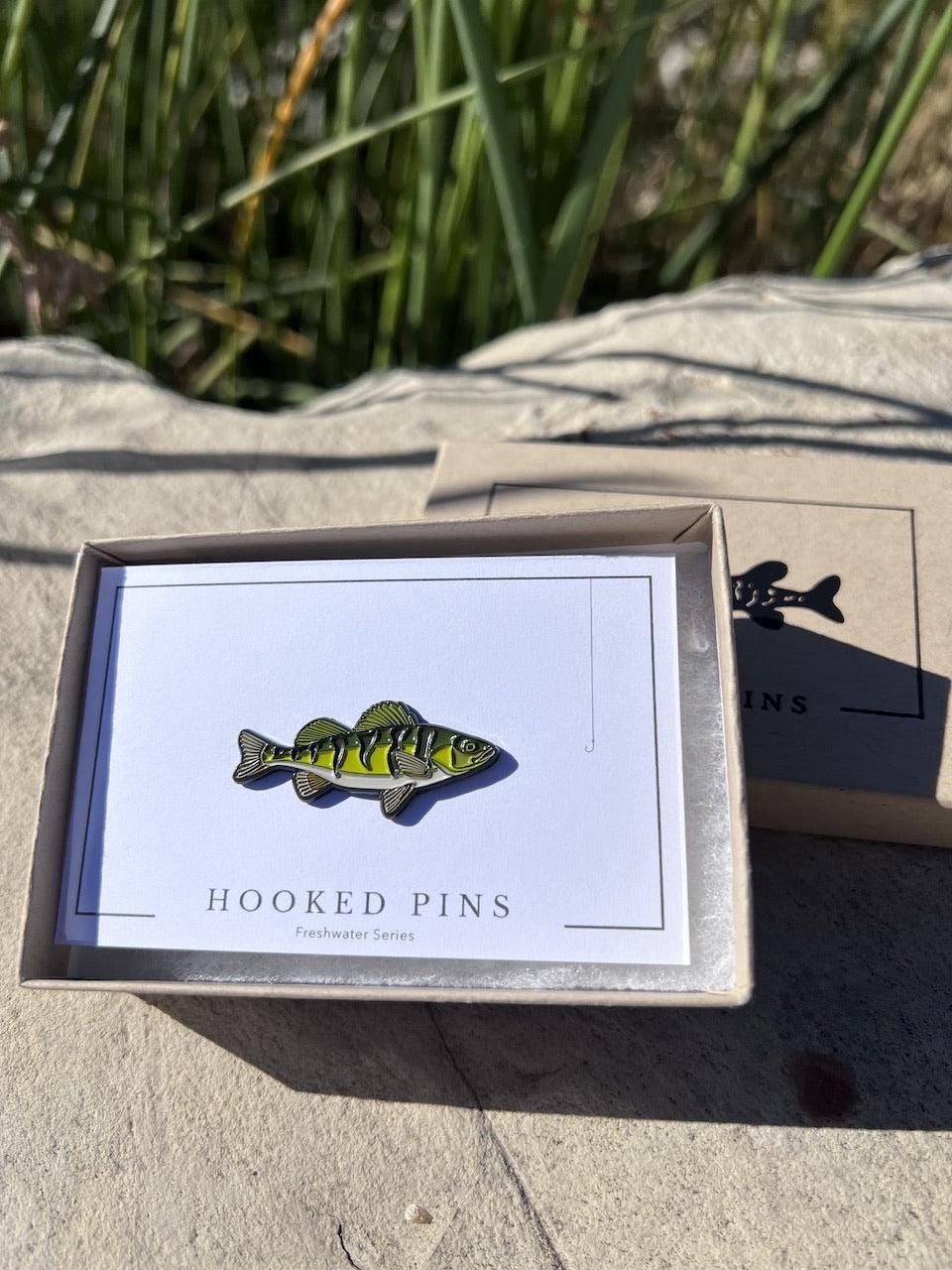 Yellow Perch - Fish Pin with Gift Box