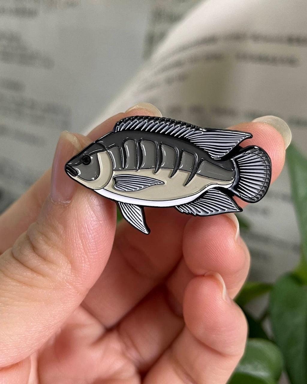 Tilapia - Fish Pin with Gift Box
