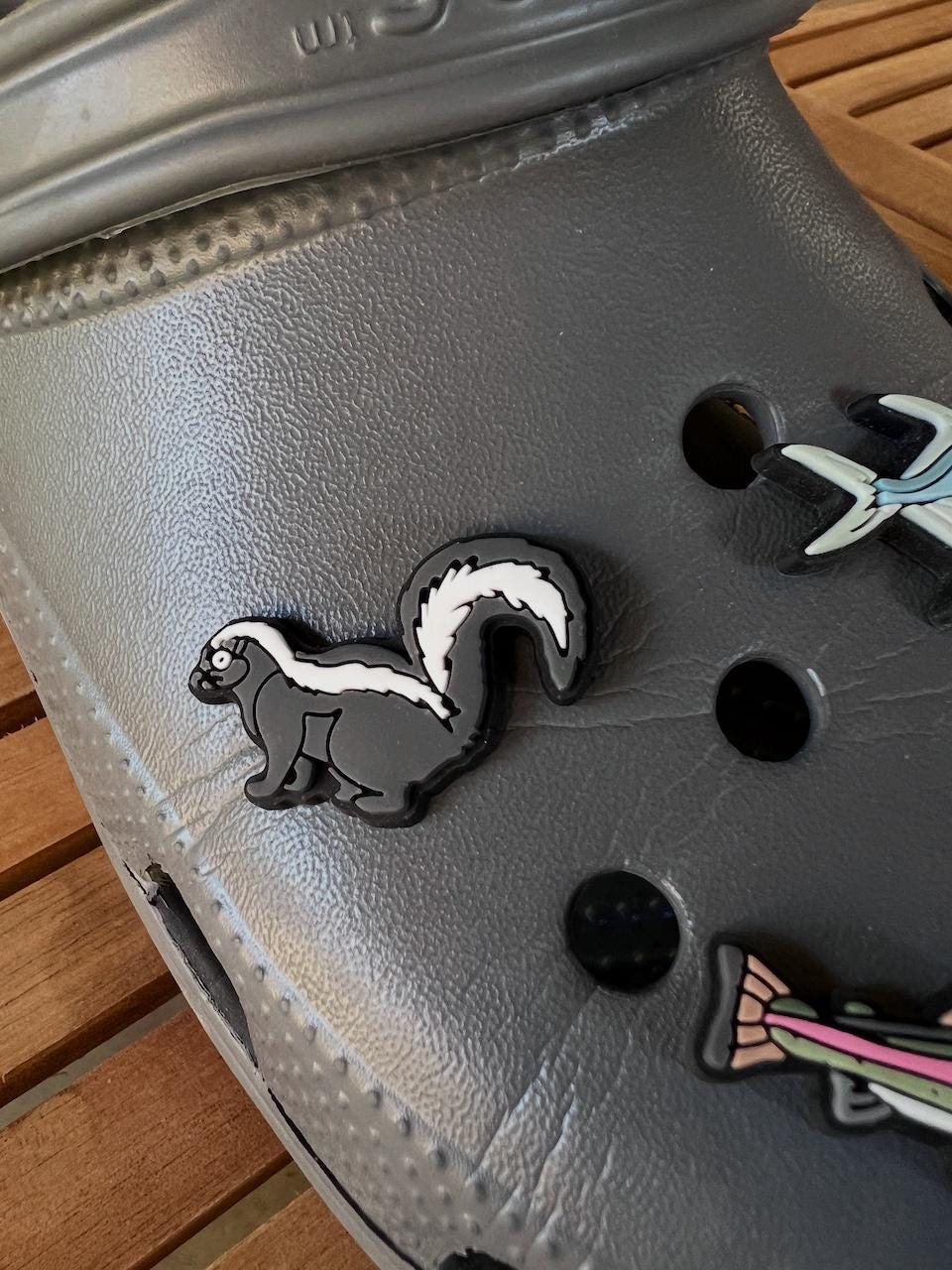 Shoe Charm - Skunk