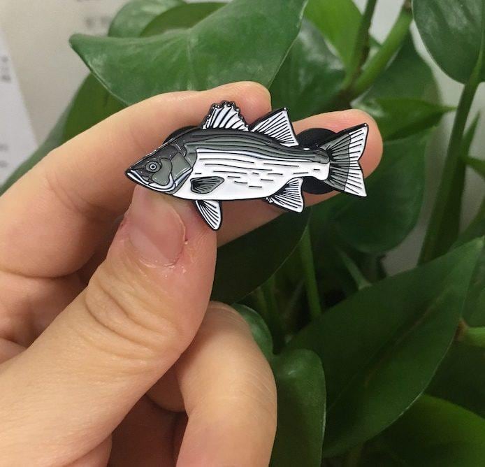 White Bass - Fish Pin with Gift Box