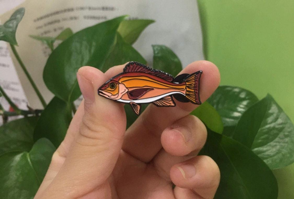 Red Snapper - Fish Pin with Gift Box