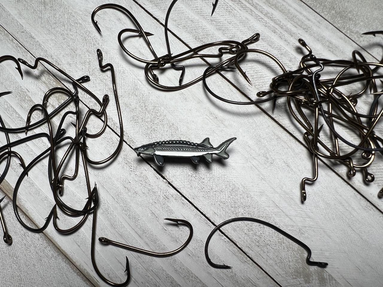 Sturgeon - Fish Pin with Gift Box