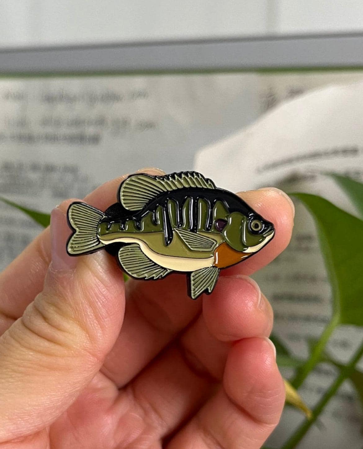 Bluegill  - Fish Pin with Gift Box