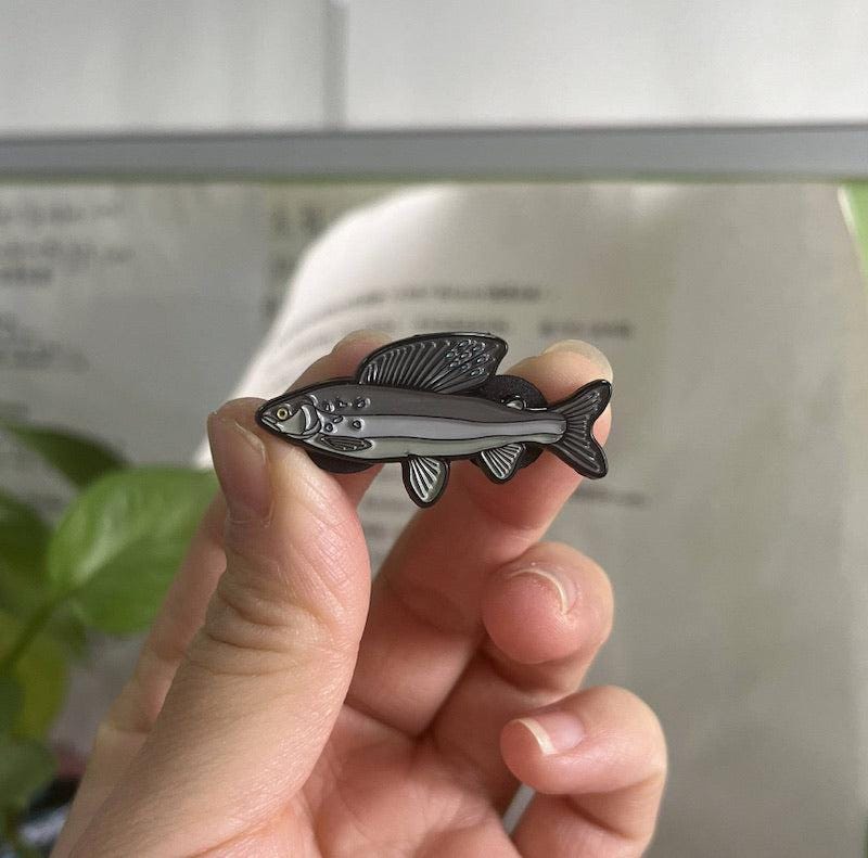 Arctic Grayling - Fish Pin with Gift Box
