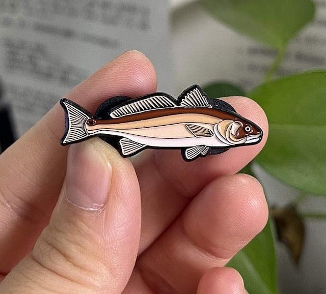 Red Drum (Redfish) - Fish Pin with Gift Box
