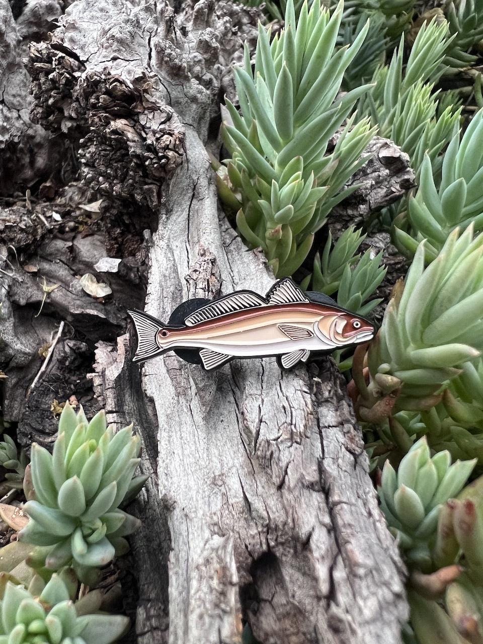 Red Drum (Redfish) - Fish Pin with Gift Box