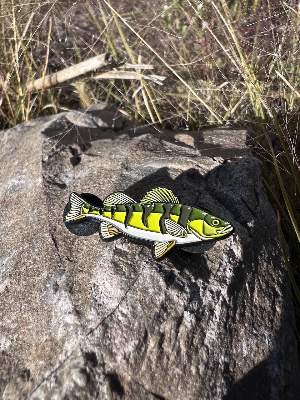 Yellow Perch - Fish Pin with Gift Box