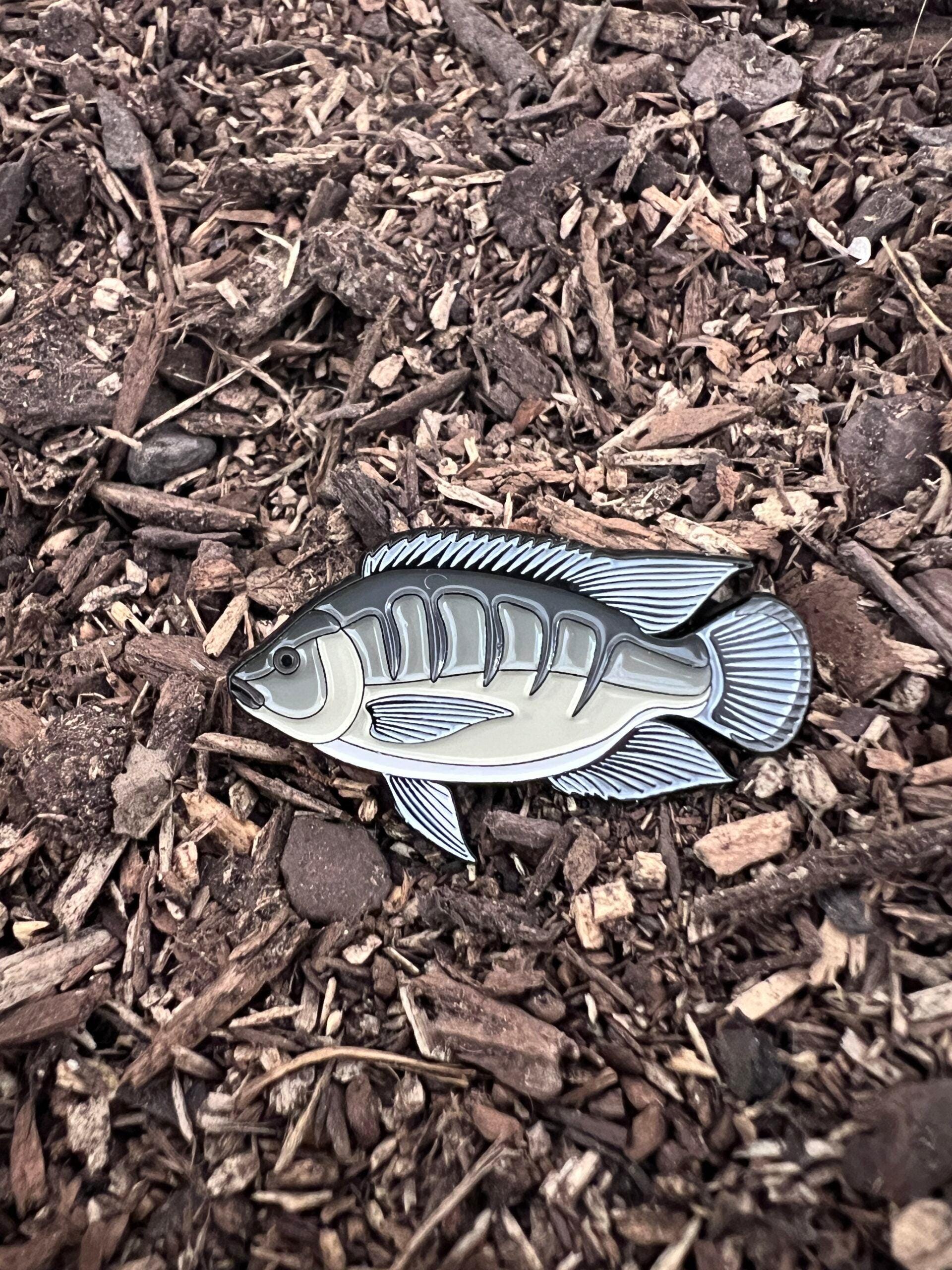 Tilapia - Fish Pin with Gift Box