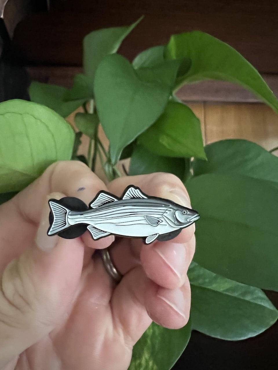 Striped Bass - Fish Pin with Gift Box