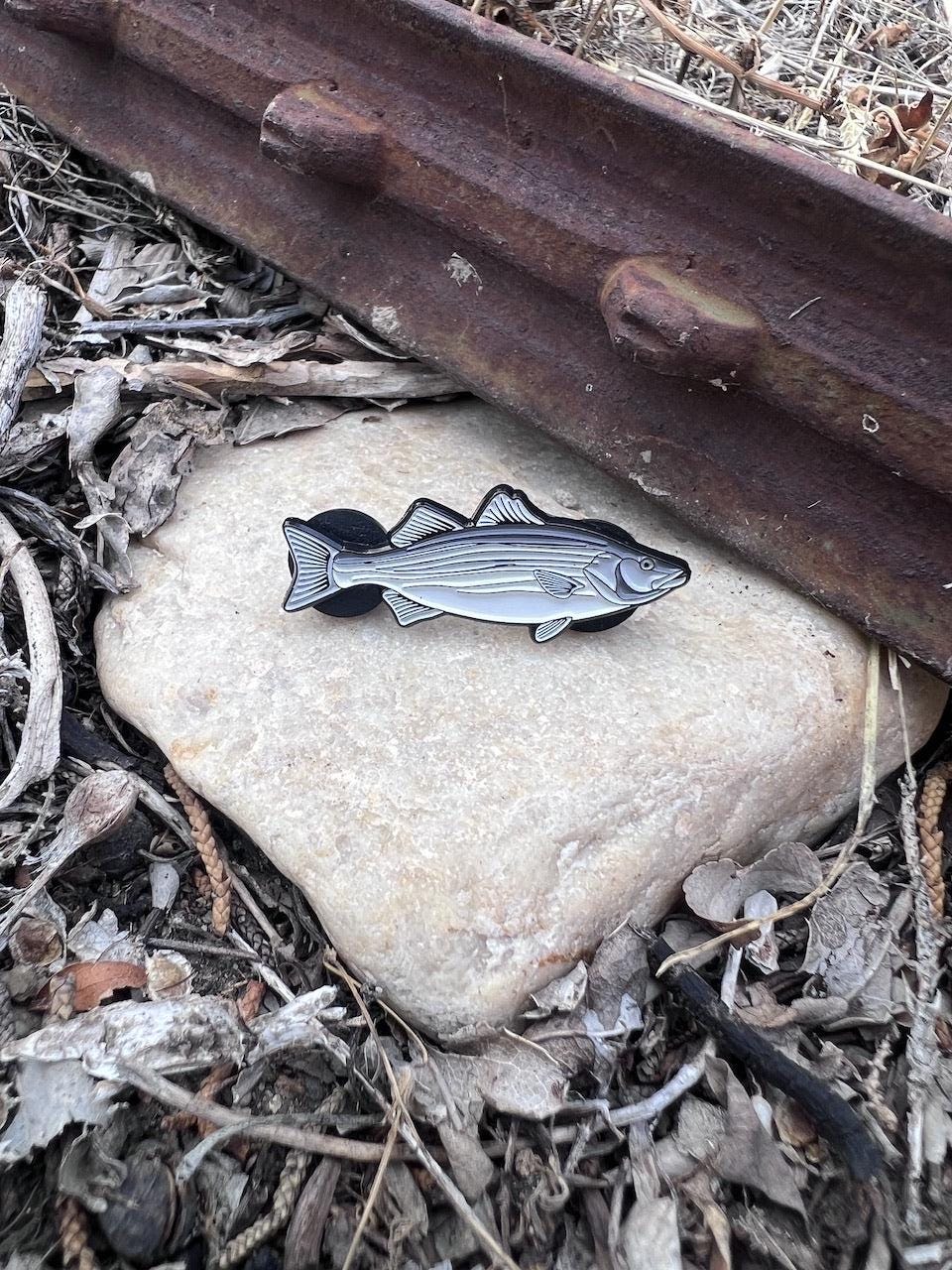 Striped Bass - Fish Pin with Gift Box