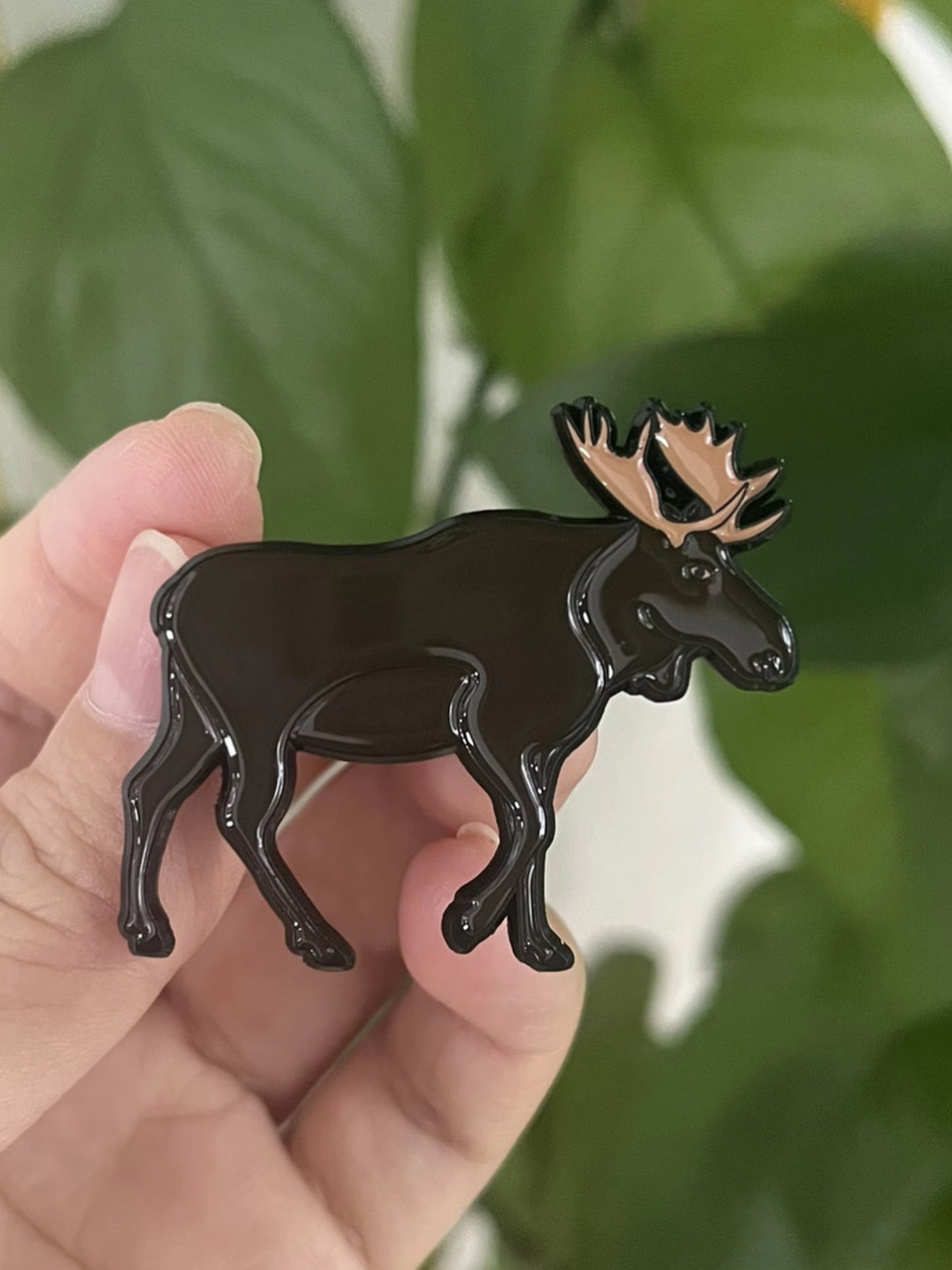 Bull Moose  - Pin with Gift Box