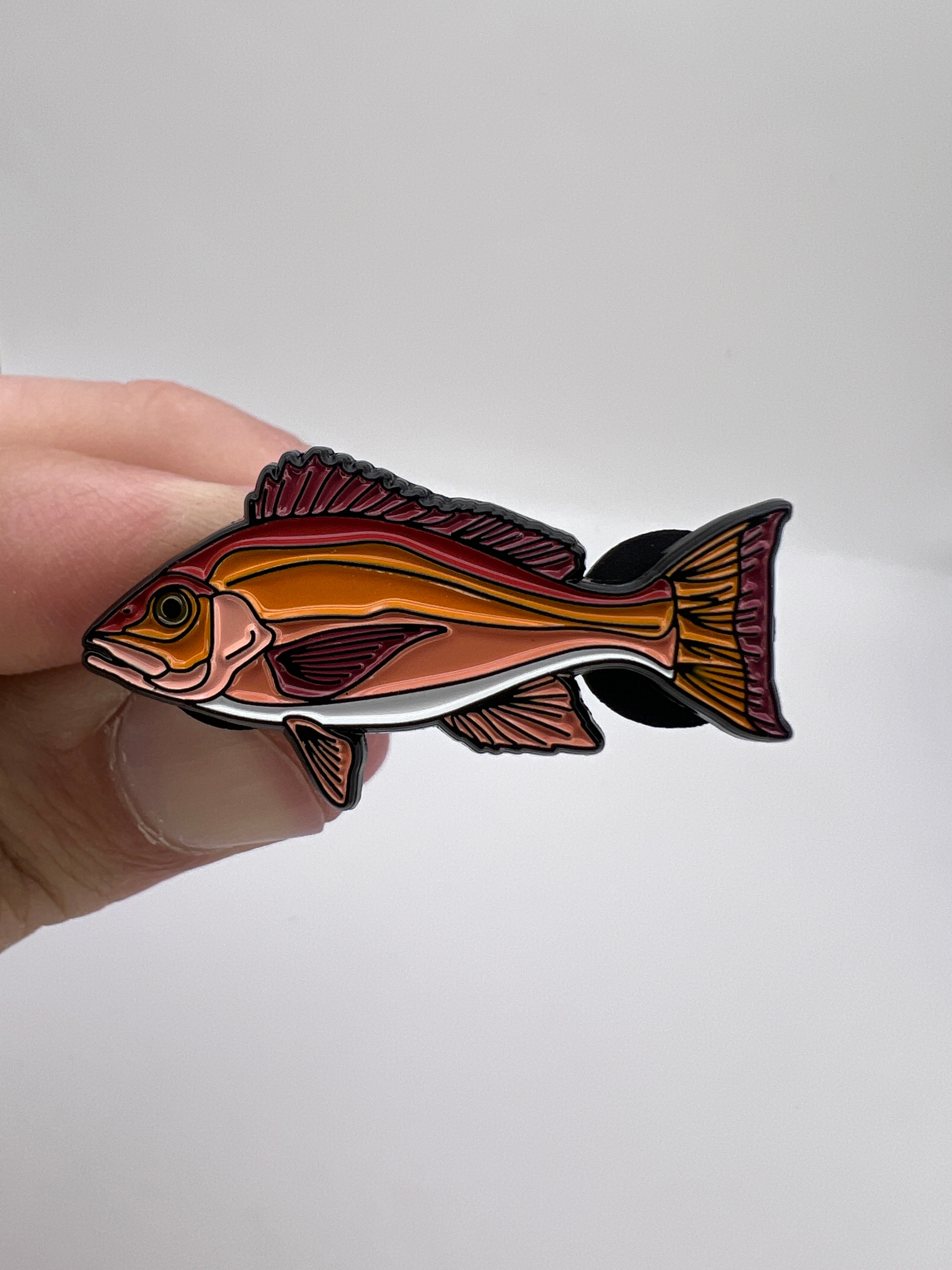 Colorful fish-shaped object held in a hand against a white background