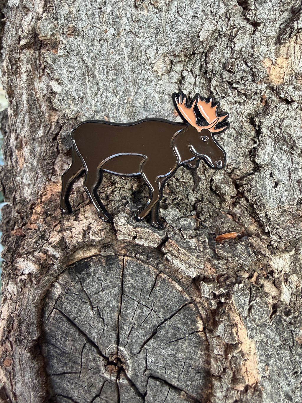 Bull Moose  - Pin with Gift Box