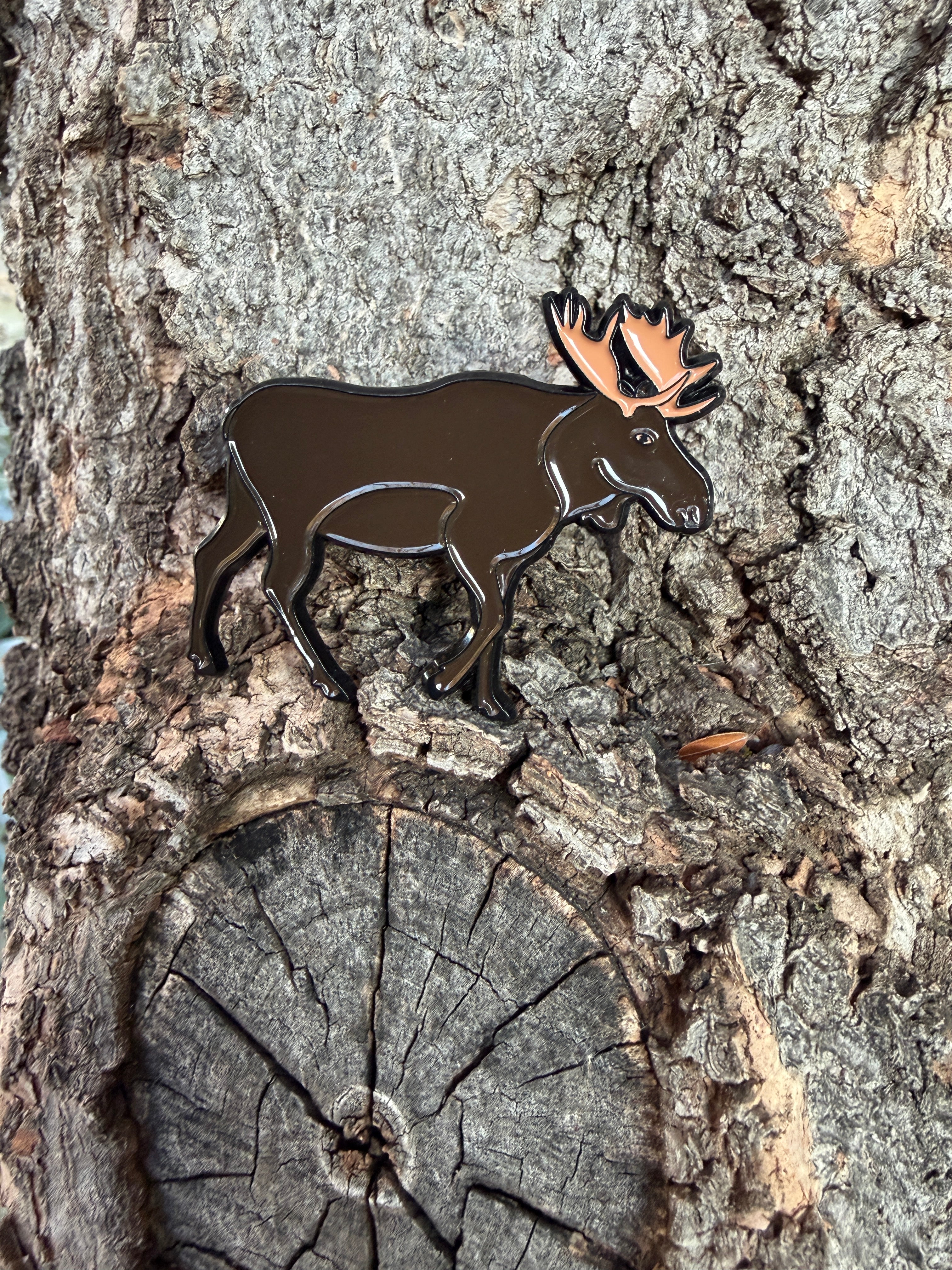 Bull Moose  - Pin with Gift Box