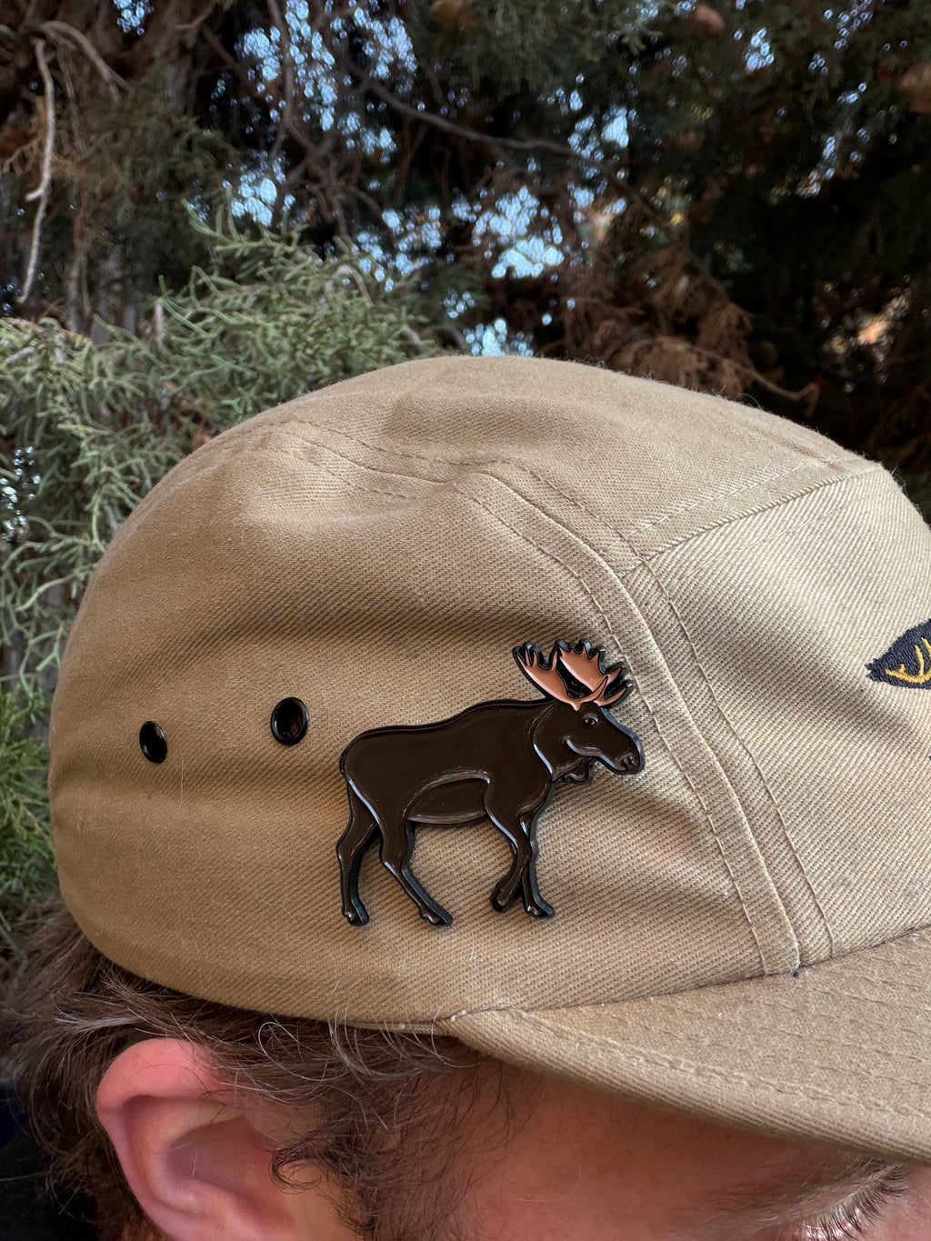 Bull Moose  - Pin with Gift Box