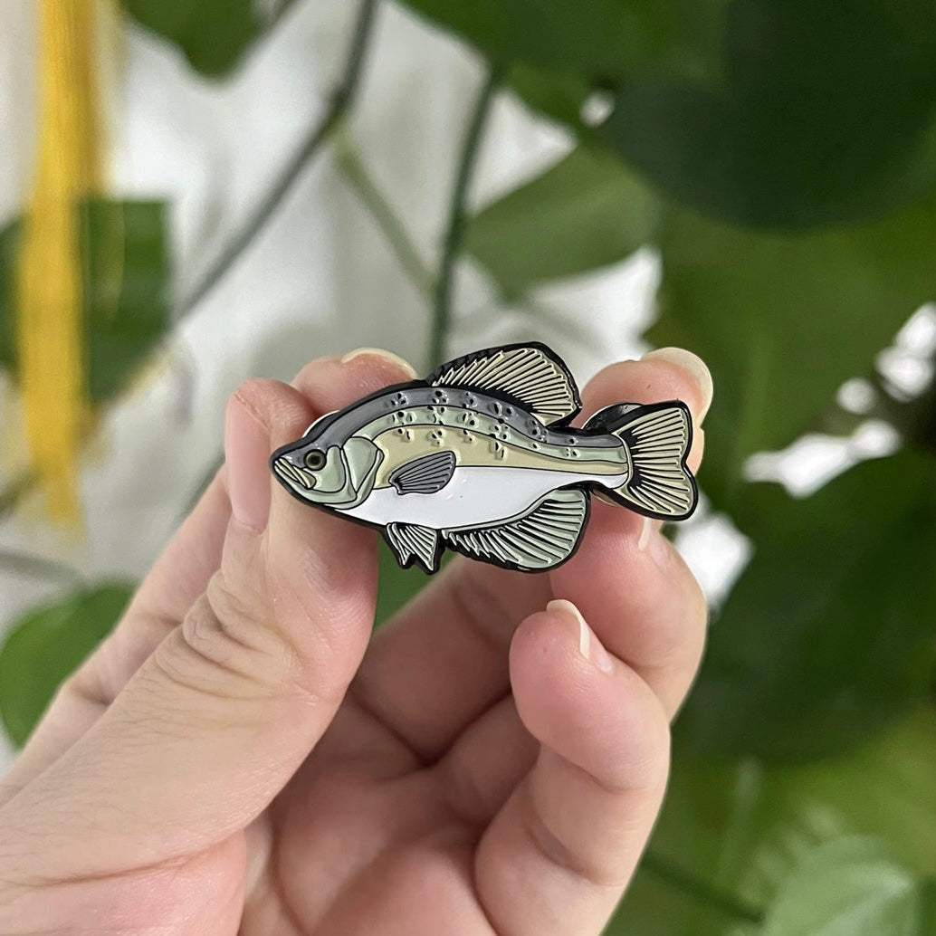White Crappie - Fish Pin with Gift Box