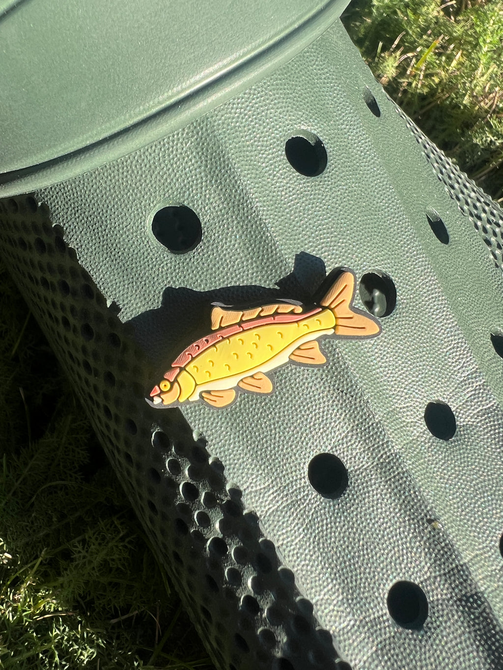 Shoe Charm - Common Carp