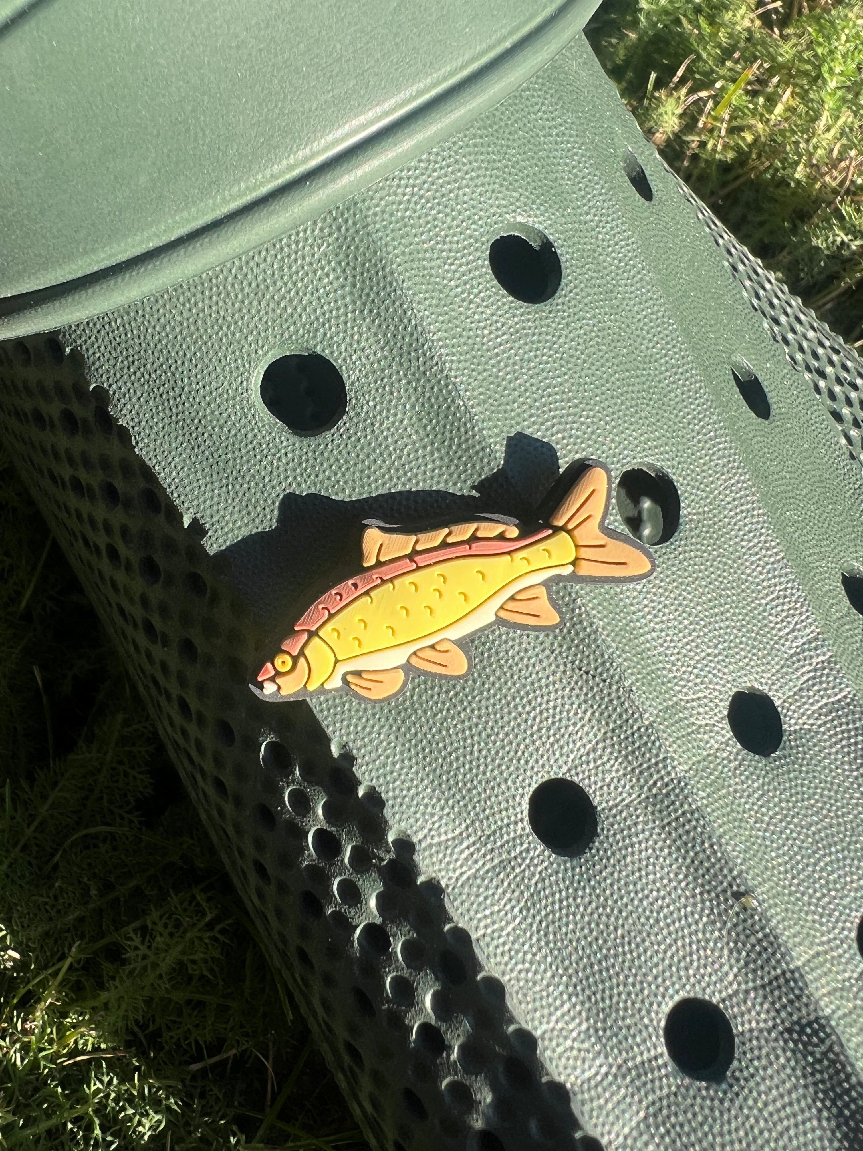 Shoe Charm - Common Carp
