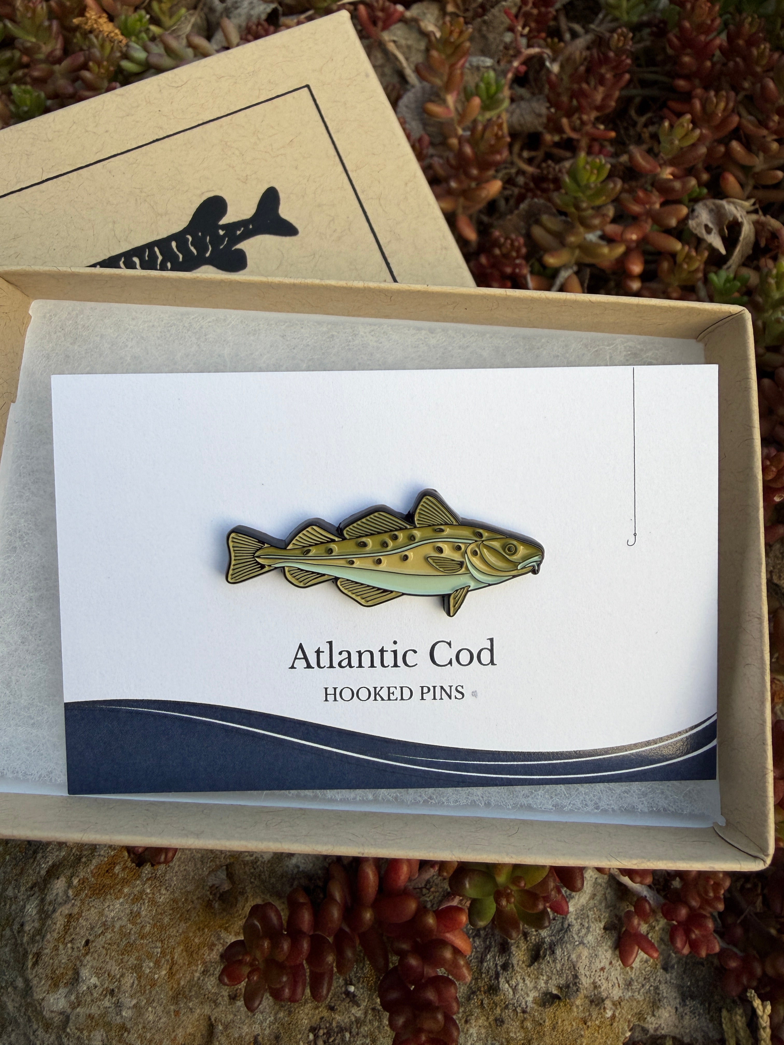 Atlantic Cod - Fish Pin with Gift Box