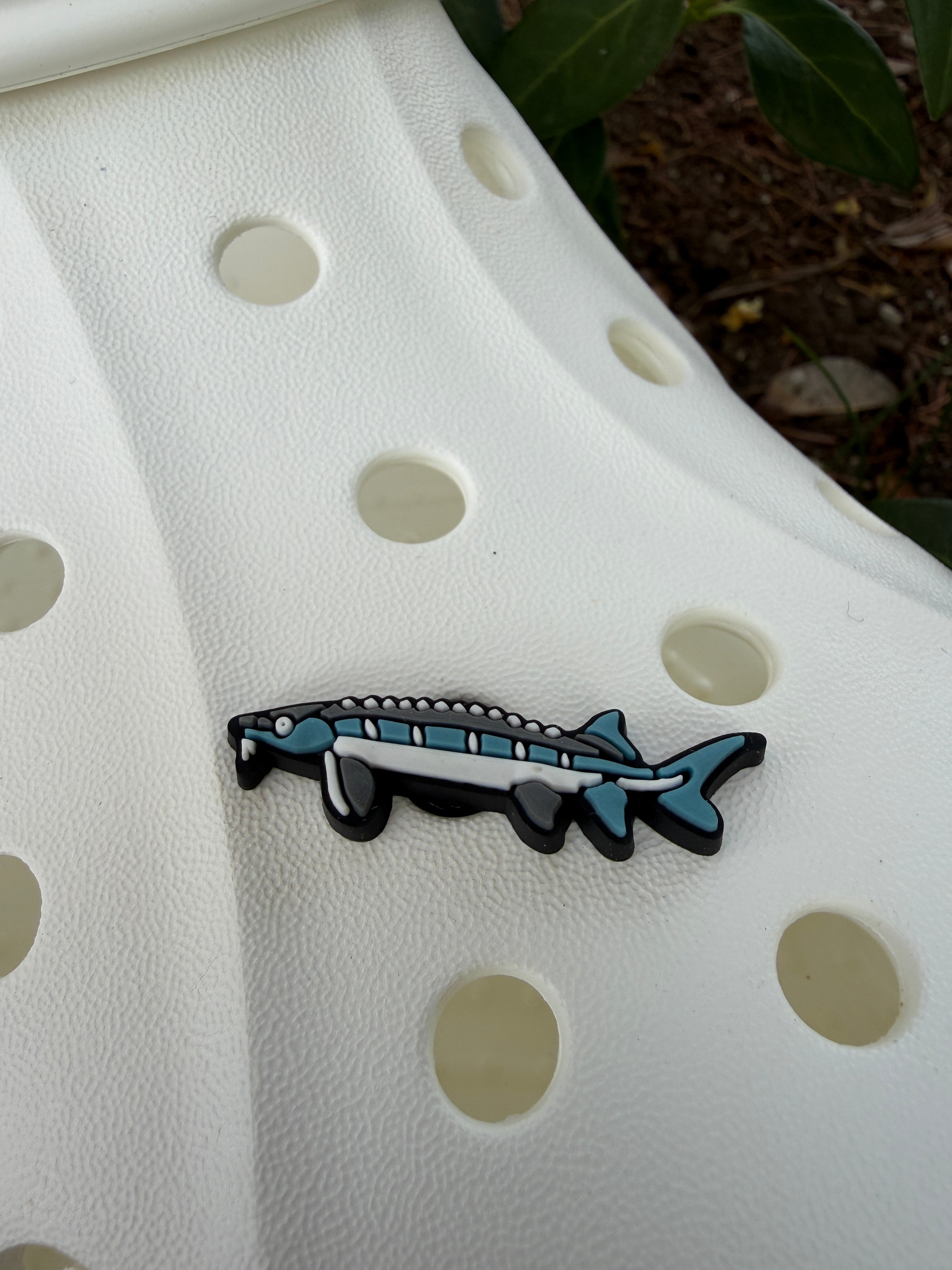 Shoe Charm - Sturgeon