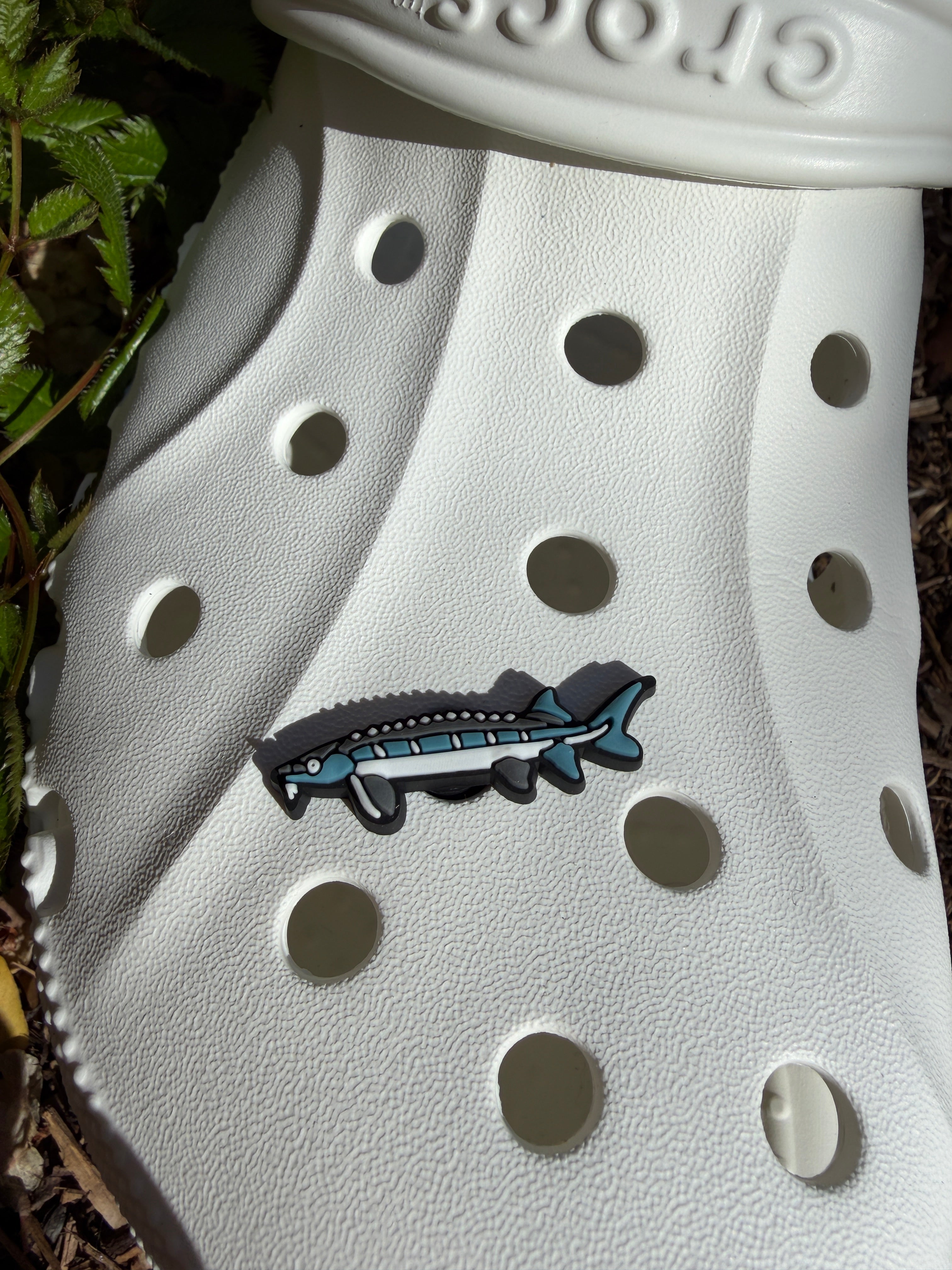 Shoe Charm - Sturgeon