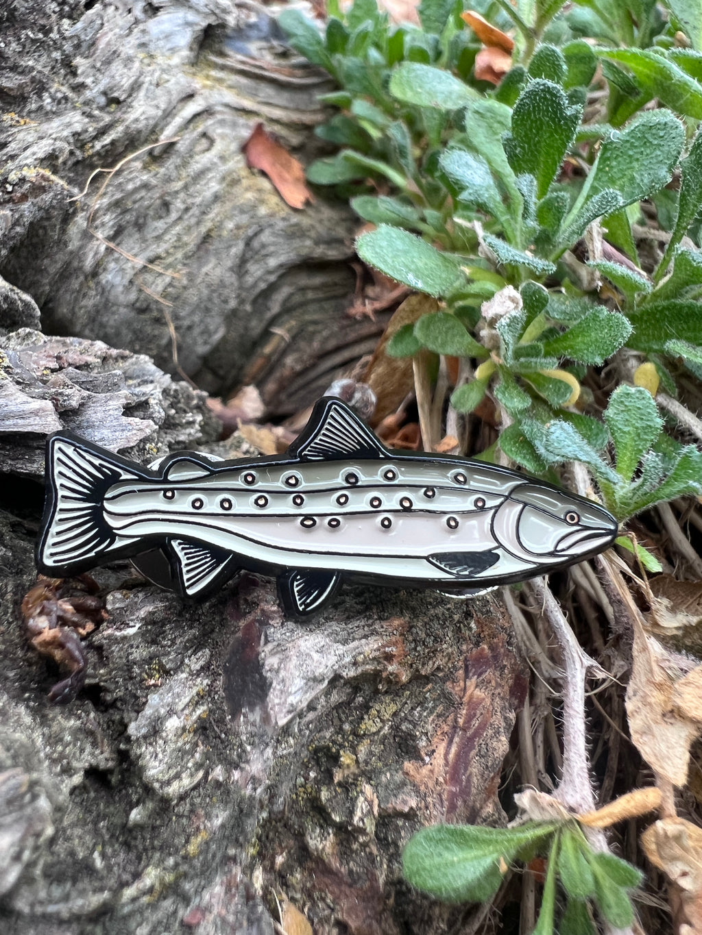 Bull Trout - Fish Pin with Gift Box