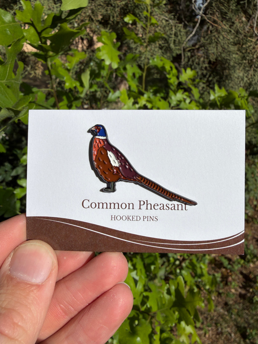 Common Pheasant  - Bird Pin with Gift Box