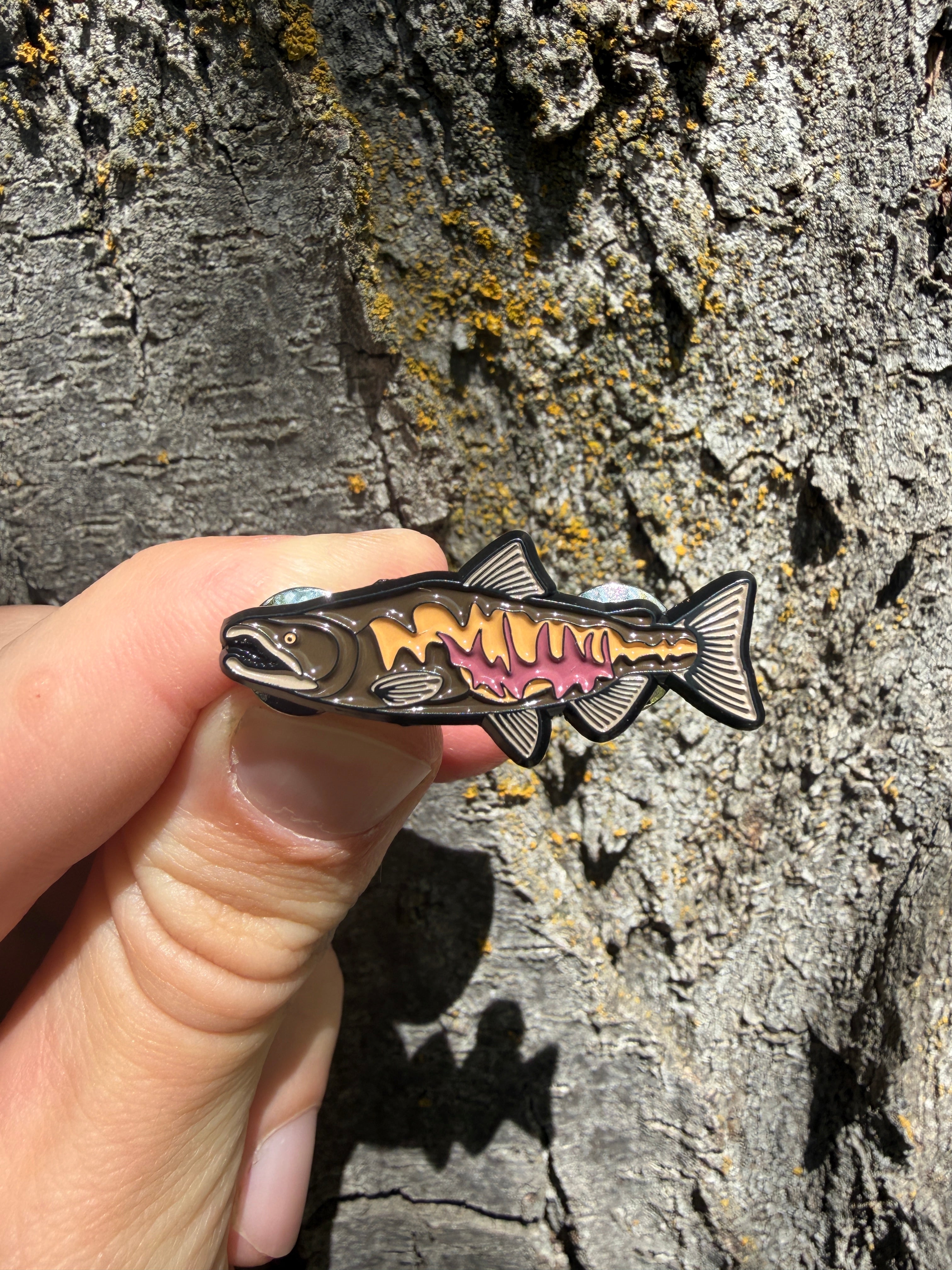Chum Salmon - Fish Pin with Gift Box