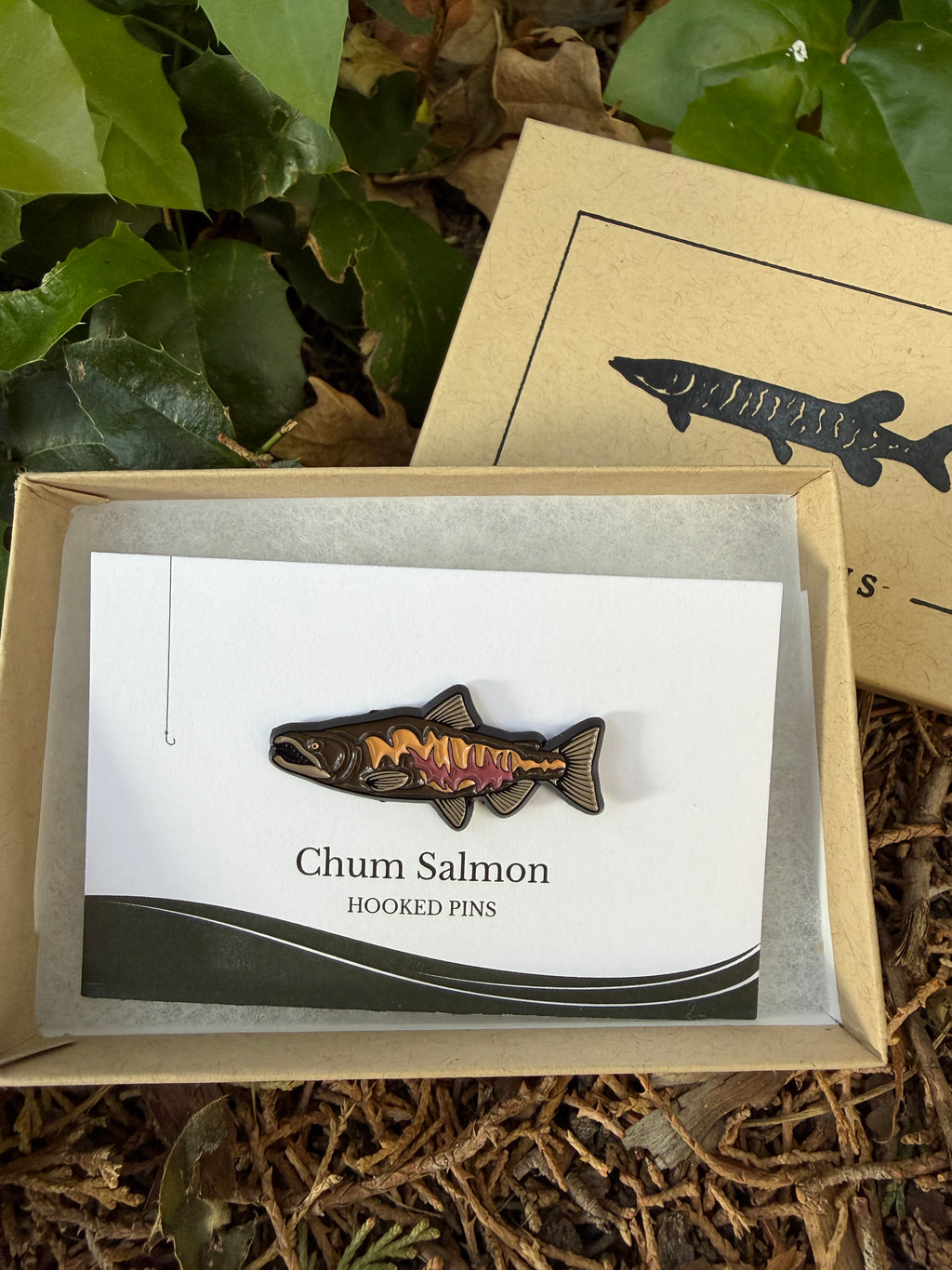 Chum Salmon - Fish Pin with Gift Box