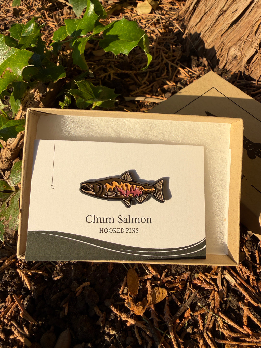 Chum Salmon - Fish Pin with Gift Box
