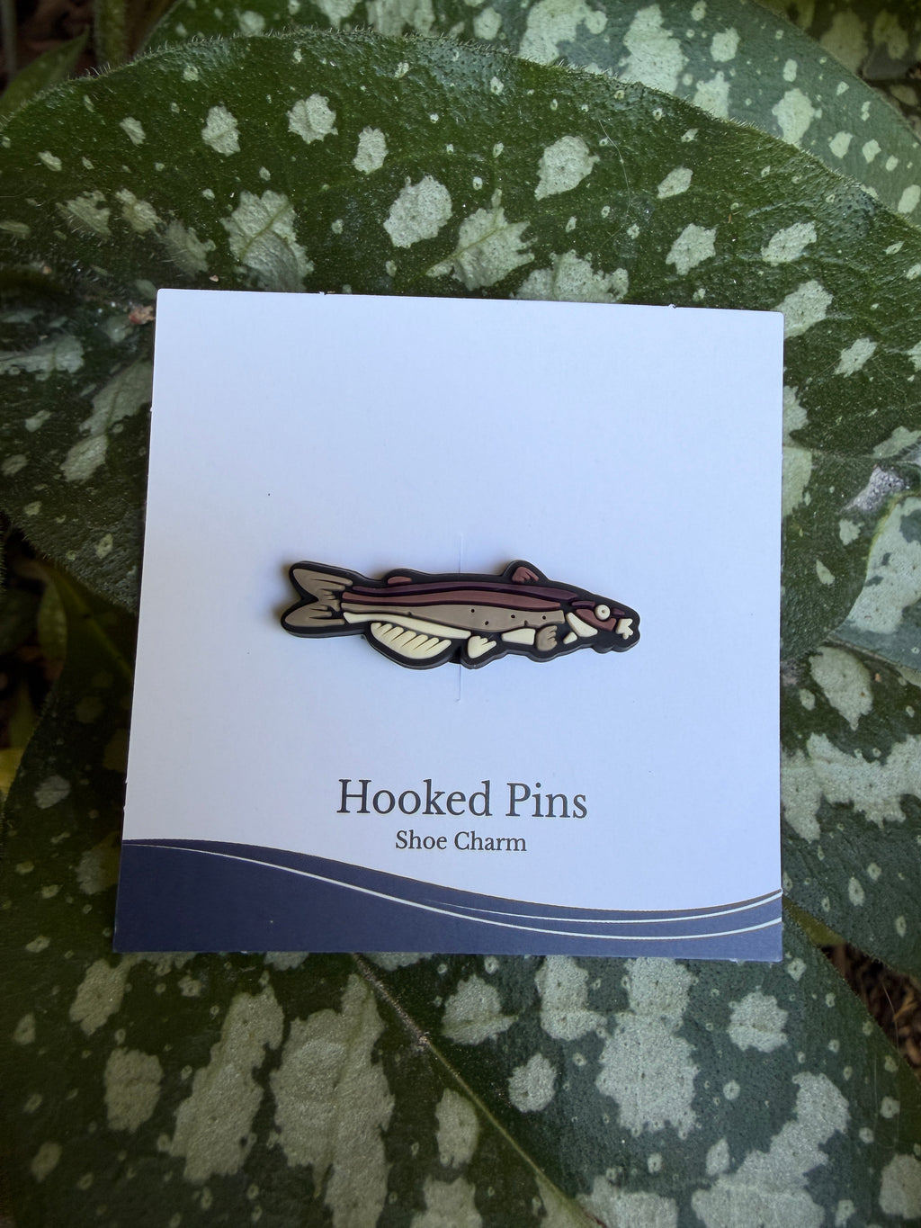 Shoe Charm - Channel Catfish