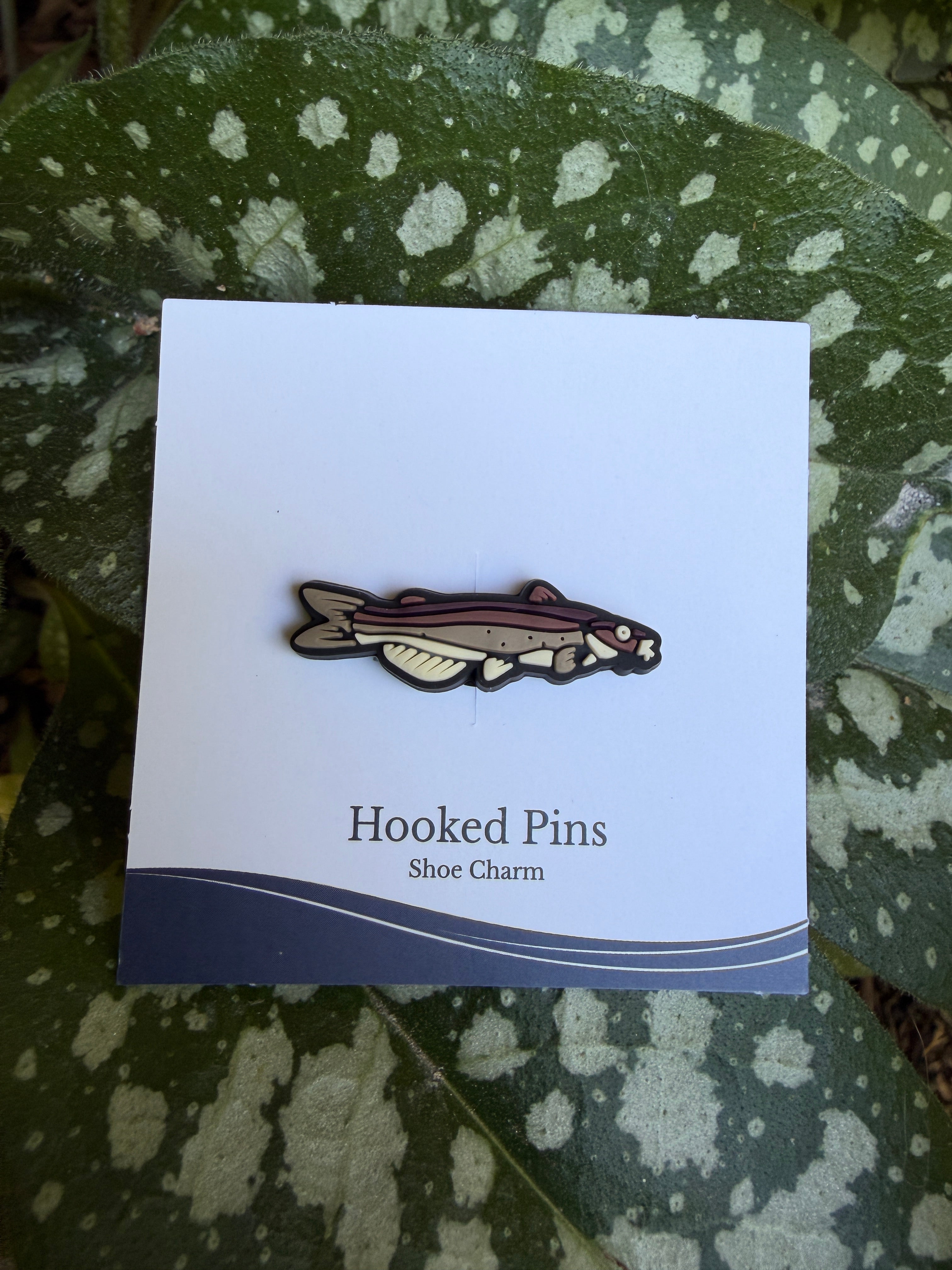 Shoe Charm - Channel Catfish